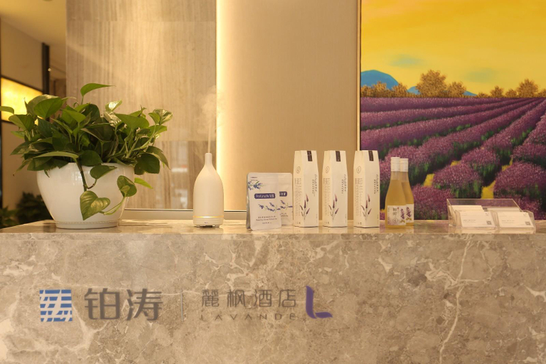 Public Area 5, Lavande Hotels·Xiangyang Railway Station People's Square, Xiangfan