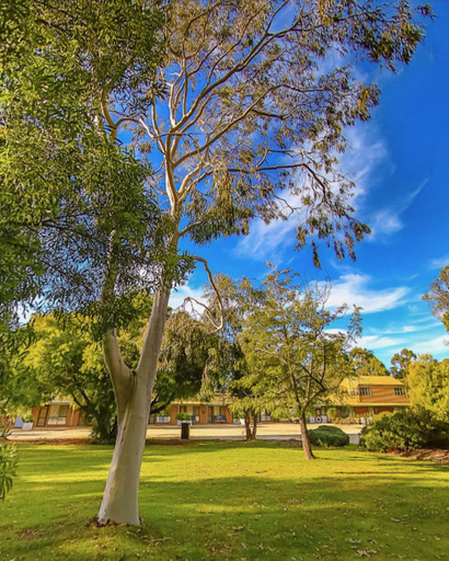 Public Area, Mountain View Motor Inn & Holiday Lodges, N. Grampians - Stawell