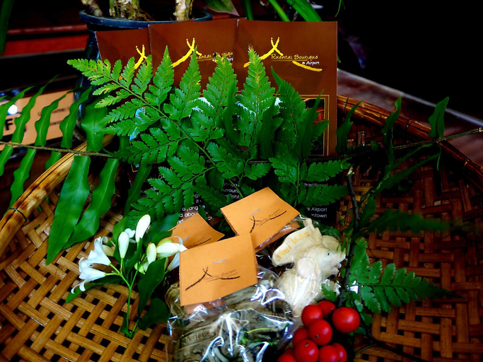 Food & Drinks 5, Ruen Tai Boutique, Phuket Island