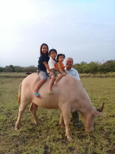 Public Area, Wanlapa Farmstay, Muang Lop Buri