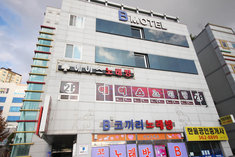 Others 4, Parasol scale B, Yangsan