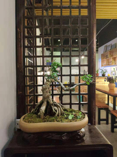 Public Area 3, Suzhou Blue Gate Hostel, Suzhou