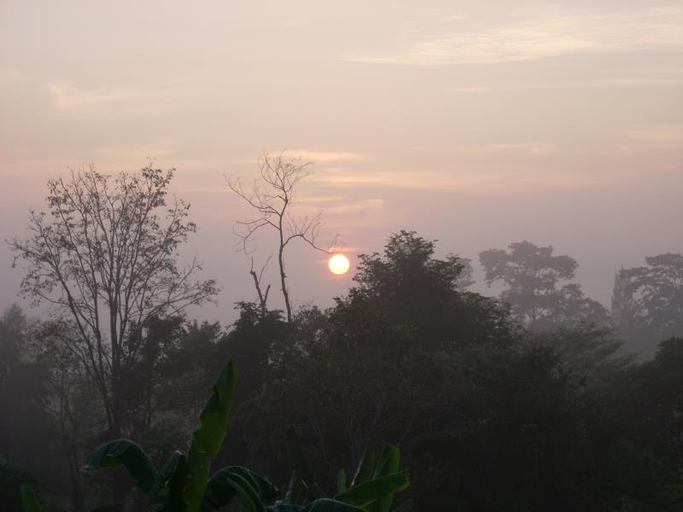 Others 5, Rai Phuphapok Resort, Suan Phung