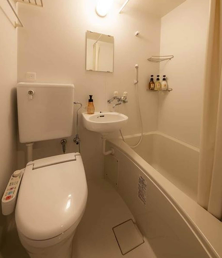Bathroom 4, The Stay Sapporo, Sapporo