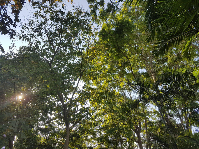 Exterior & Views 3, Guesthouse Ratchaburi, Muang Ratchaburi
