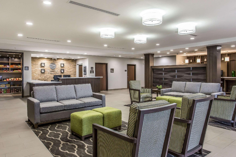 Public Area 2, Comfort Inn & Suites Snyder, Scurry