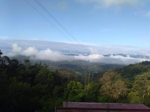 Top view stay, Kodagu