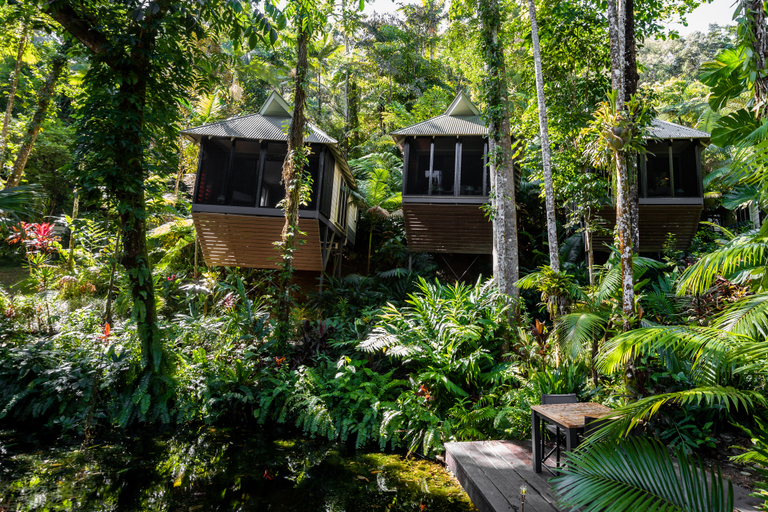 Exterior & Views 5, Daintree Ecolodge, Douglas