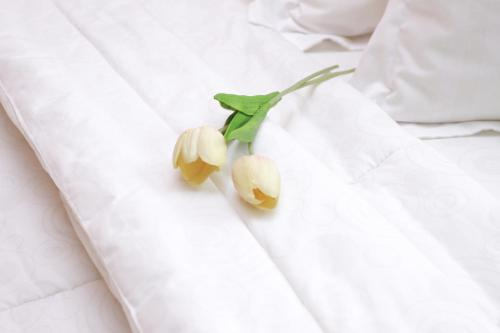 Roemah 28 Syariah Boutique Hotel, Medan