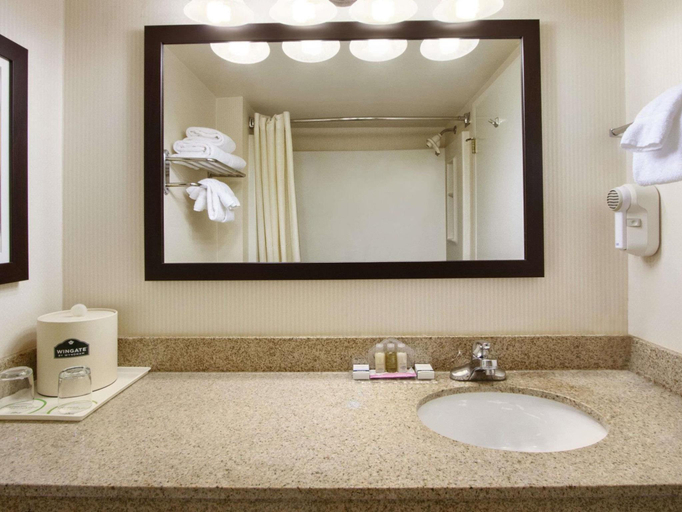Bathroom 4, Wingate by Wyndham Chattanooga, Hamilton
