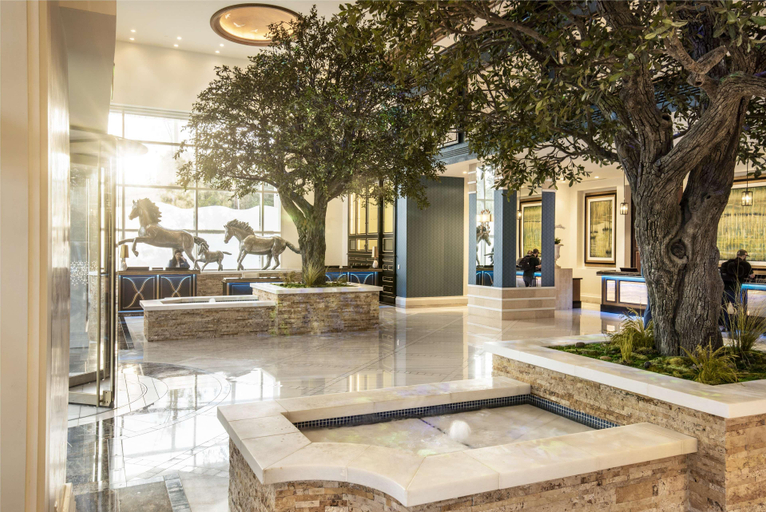 Public Area 5, Fairmont Austin, Travis