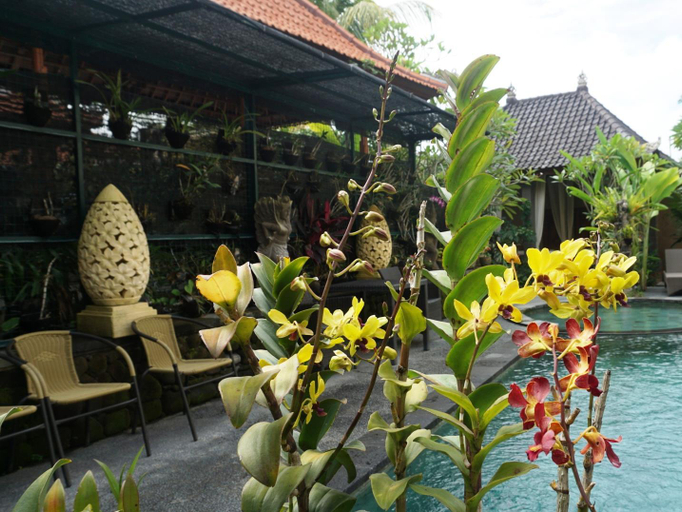 Others 3, Villa Cilinaya, Gianyar