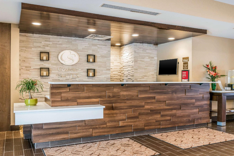 Public Area 2, Comfort Suites Florence - Cincinnati South, Boone