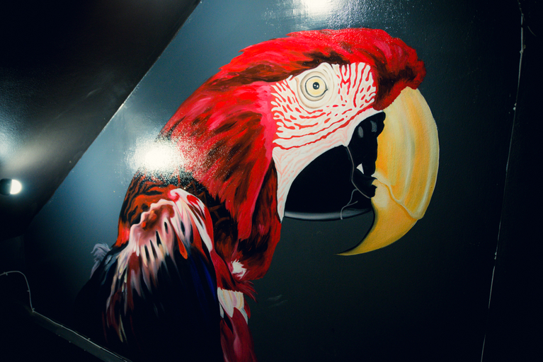 Interior view 5, The Bird Hub Hostel, Muang Chiang Mai