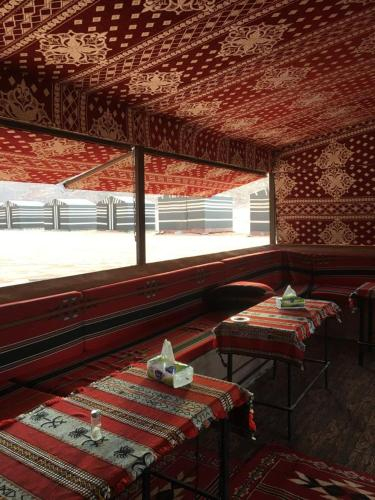 Bedouin moon camp&tour, Aqaba