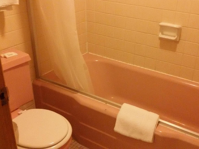 Bathroom, Hotel Blue Top Inn, Portage