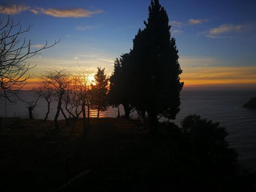 Vallegrande, Genova