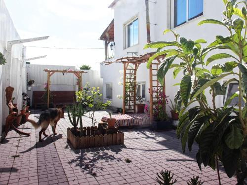 Exterior view, Toca do Lobo, Almada