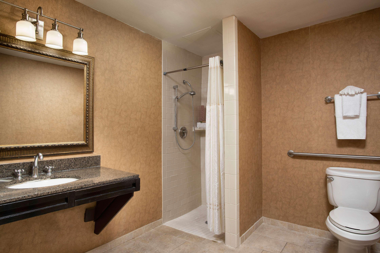 Bathroom 5, Doubletree Hotel Memphis Downtown, Shelby