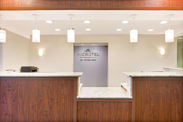 Public Area 2, Microtel Inn & Suites by Wyndham Urbandale/Des Moines, Polk