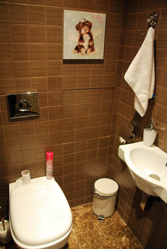 Bathroom, Silver Owl, North-Western