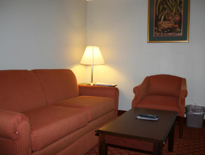 Public Area 3, Hampton Inn Hillsville, Carroll