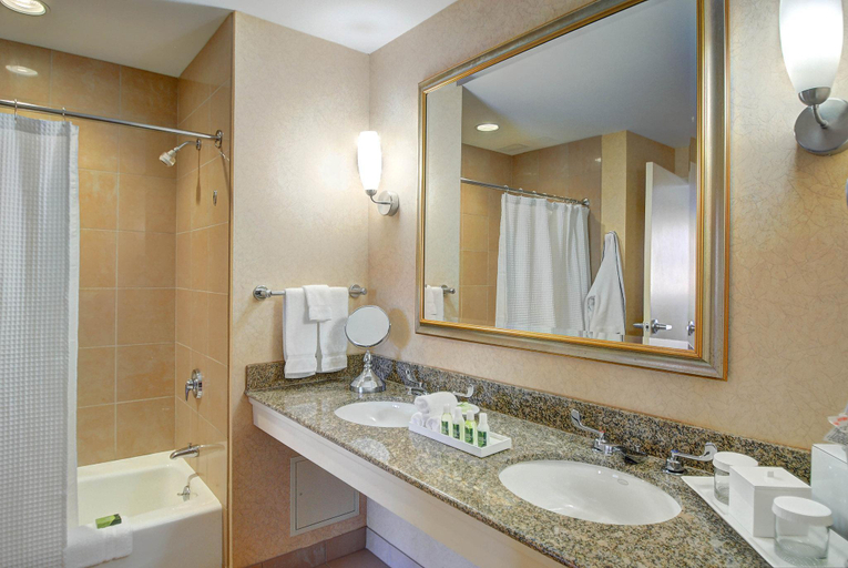 Bathroom 4, Southbridge Hotel And Conference Center, Worcester