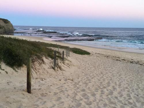 'Lighthouse Palms', Shoalhaven - Pt B