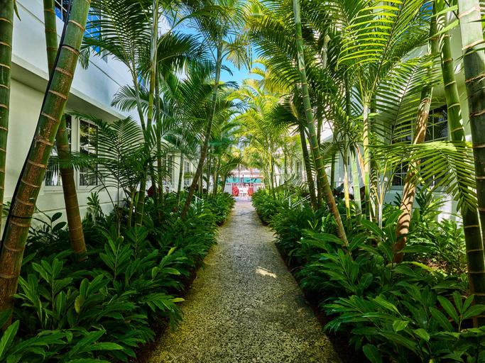 Exterior & Views 1, AxelBeach Miami-Adults Only, Miami-Dade