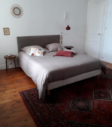 BEL APPARTEMENT 70 M2 CENTRE VILLE SAUMUR ET AU CALME, Maine-et-Loire