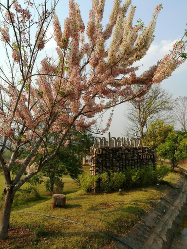 Others 4, Phupaikaew Resort, Pai