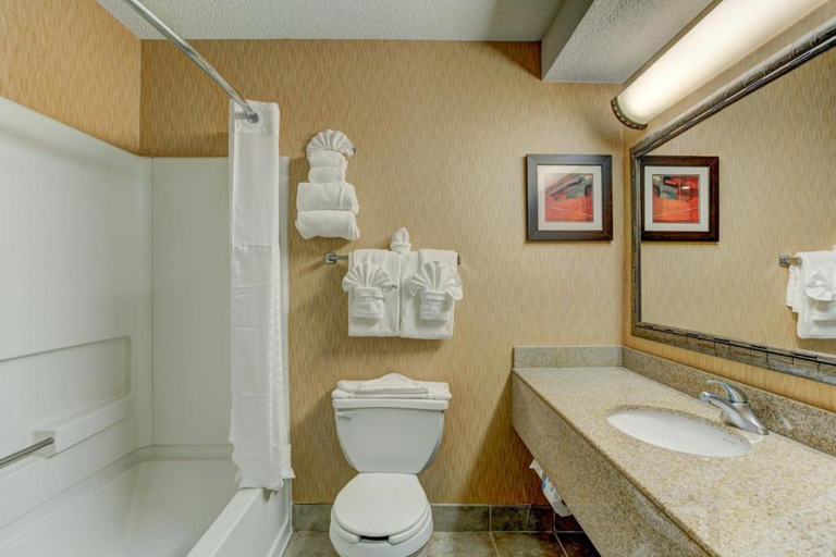 Bathroom, Comfort Suites (Durham), Durham