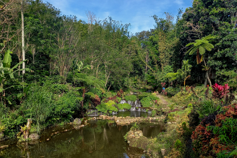 Others 4, Green Paradise Pagar Alam Resort Mitra RedDoorz, Pagar Alam