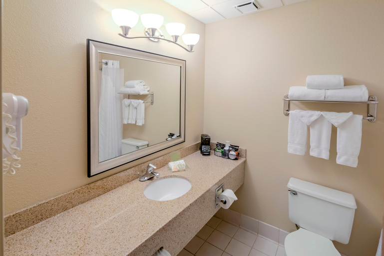 Bathroom, Quality Inn & Suites Downtown Mansfield, Richland