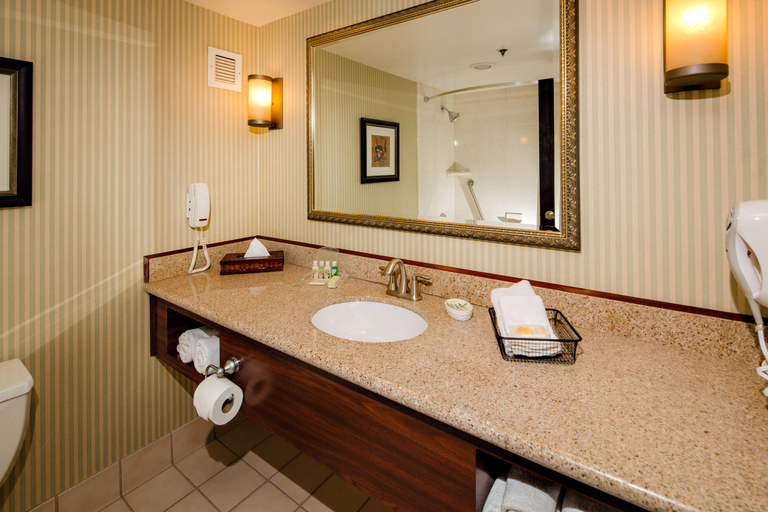 Bathroom 4, Hotel Burbank, Los Angeles