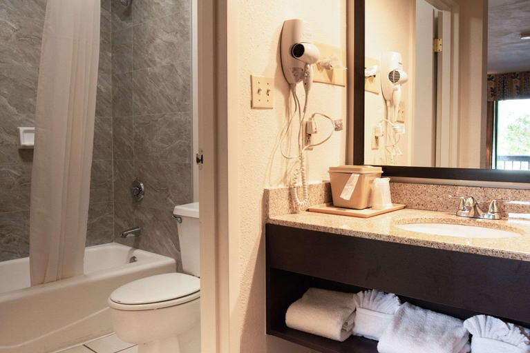Bathroom 4, SureStay Hotel by Best Western St. Pete Clearwater, Pinellas