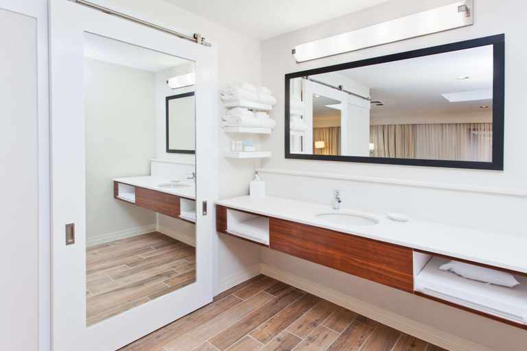 Bathroom 4, Hampton Inn Bremen-I-20 (Carrollton Area), Carroll