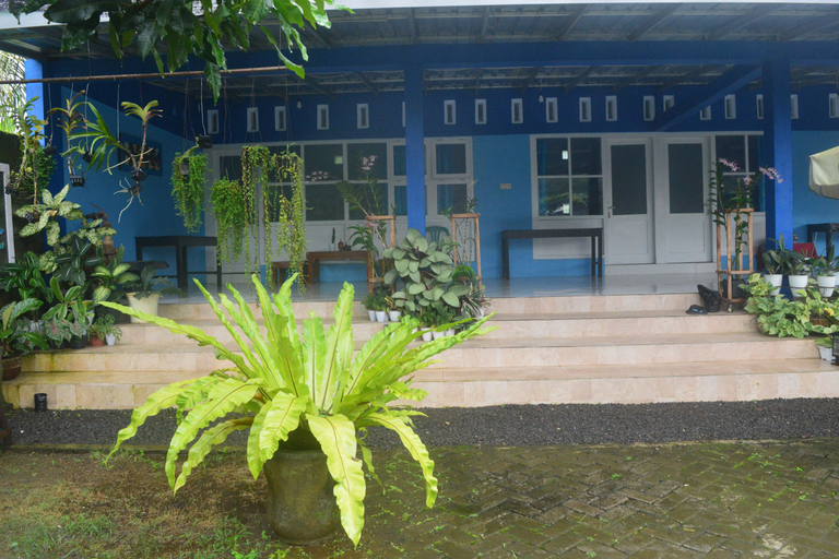 Exterior & Views 2, De Sidomulyo Homestay, Jember