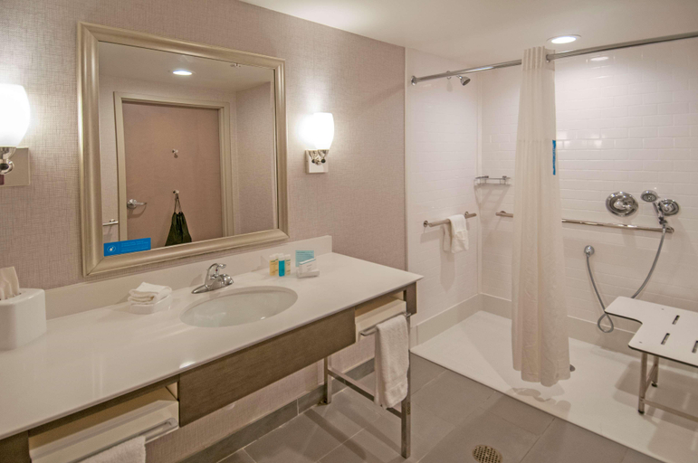 Bathroom 4, Hampton Inn & Suites Ridgeland, Madison