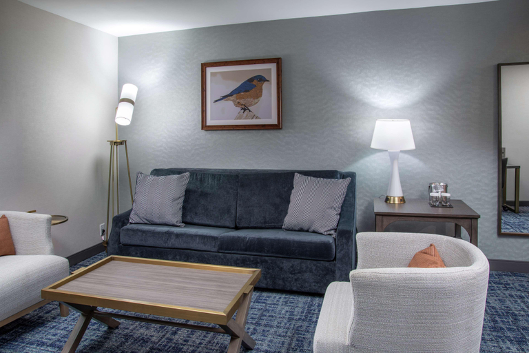 Public Area 2, DoubleTree by Hilton Hot Springs, Garland