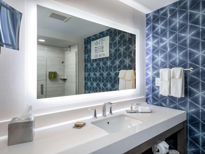 Bathroom 4, DoubleTree by Hilton Hot Springs, Garland