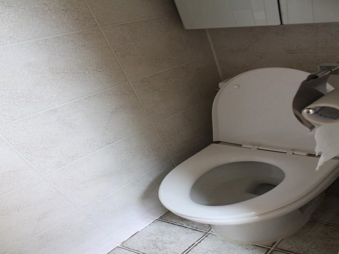 Bathroom 2, Ongye jongtaek Hanok, Andong
