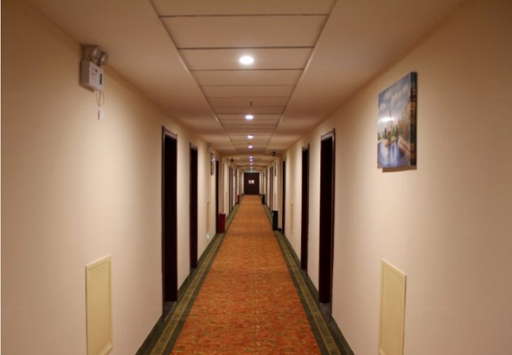 Public Area, GreenTree Inn QinYang Middle HuaiFu Road Express Hotel, Jiaozuo