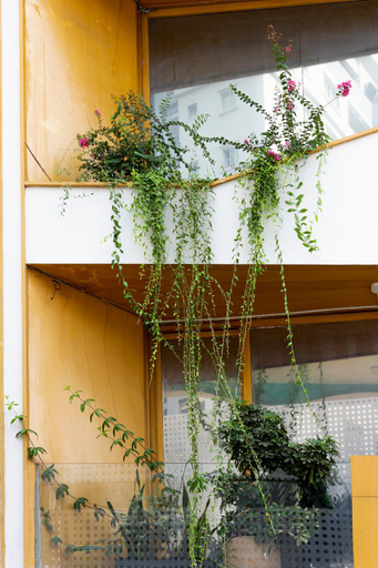 Public Area, Cactusland Near Saigon Train Station, District 3