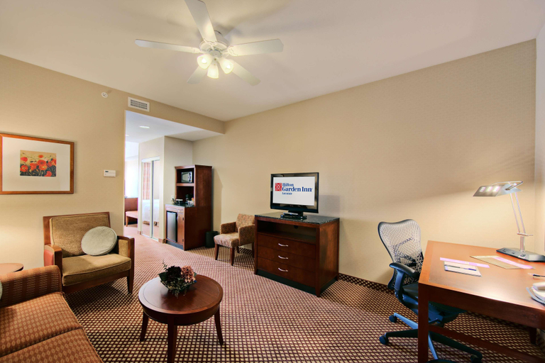Public Area 2, Hilton Garden Inn Laramie, Albany