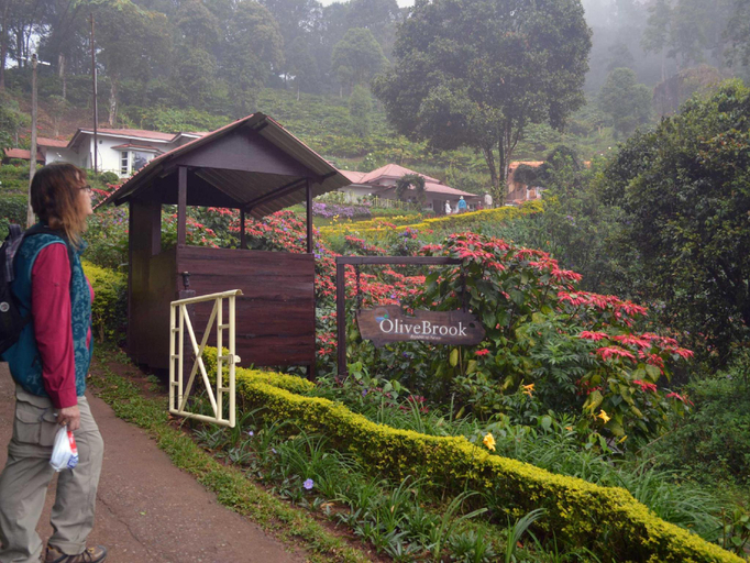 Others 5, Olive Brook Resort, Idukki