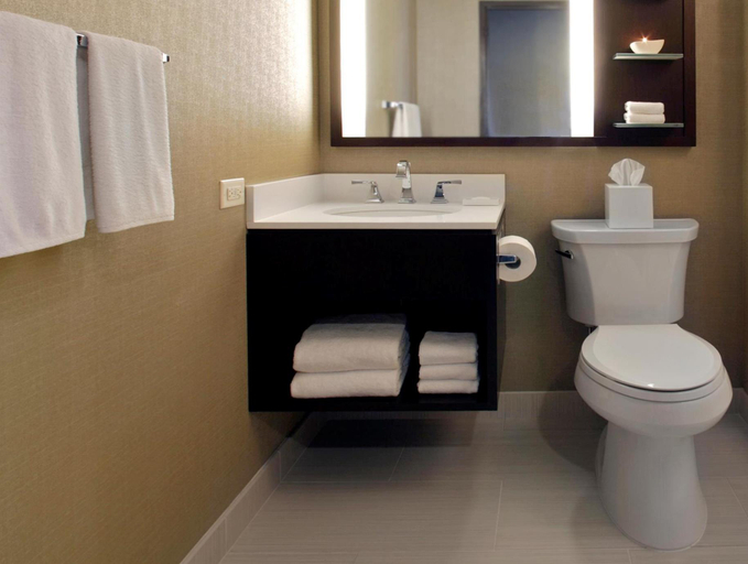 Bathroom 3, Hilton Chicago, Cook