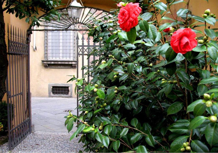 Public Area 3, The Tuscanian Hotel, Lucca