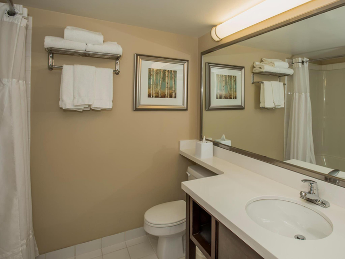 Bathroom 4, Best Western Plus Winnipeg Airport Hotel, Division No. 11