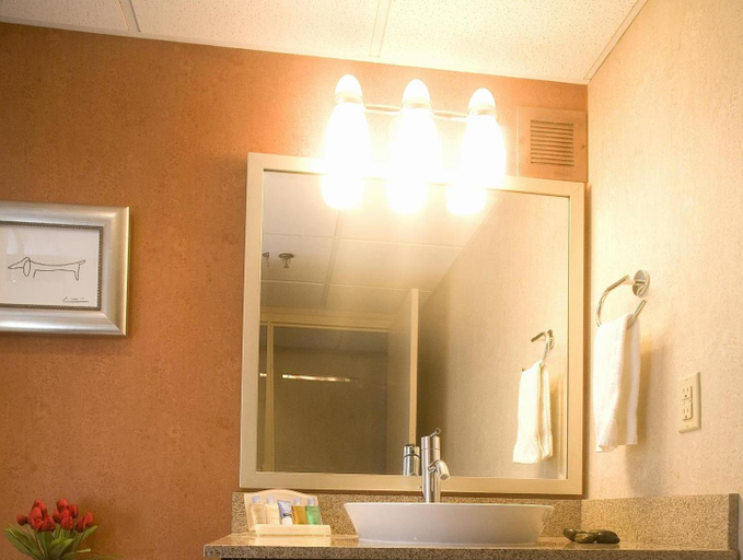 Bathroom 5, DoubleTree by Hilton Hotel Springfield, Greene